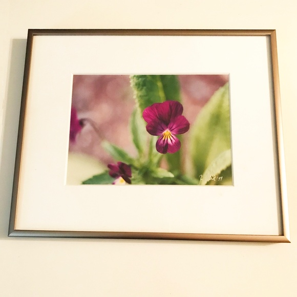 NATURE PHOTO "PANSEY" - Picture 1 of 1